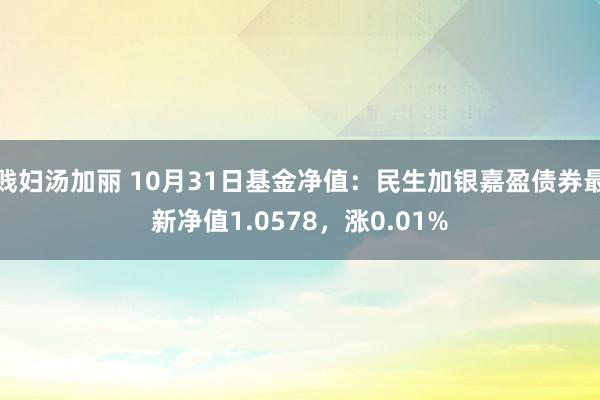 贱妇汤加丽 10月31日基金净值：民生加银嘉盈债券最新净值1.0578，涨0.01%