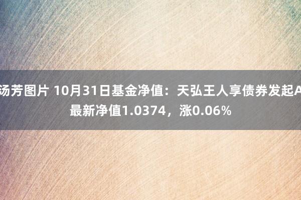 汤芳图片 10月31日基金净值：天弘王人享债券发起A最新净值1.0374，涨0.06%