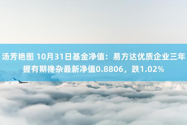 汤芳艳图 10月31日基金净值：易方达优质企业三年握有期搀杂最新净值0.8806，跌1.02%