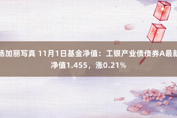 汤加丽写真 11月1日基金净值：工银产业债债券A最新净值1.455，涨0.21%