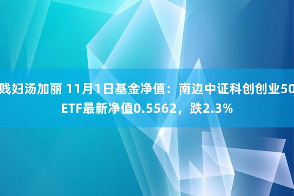 贱妇汤加丽 11月1日基金净值：南边中证科创创业50ETF最新净值0.5562，跌2.3%