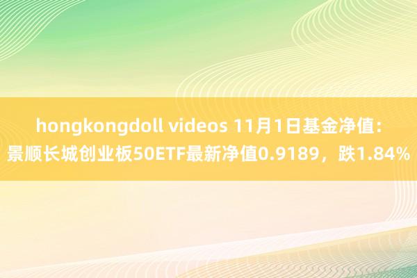 hongkongdoll videos 11月1日基金净值：景顺长城创业板50ETF最新净值0.91