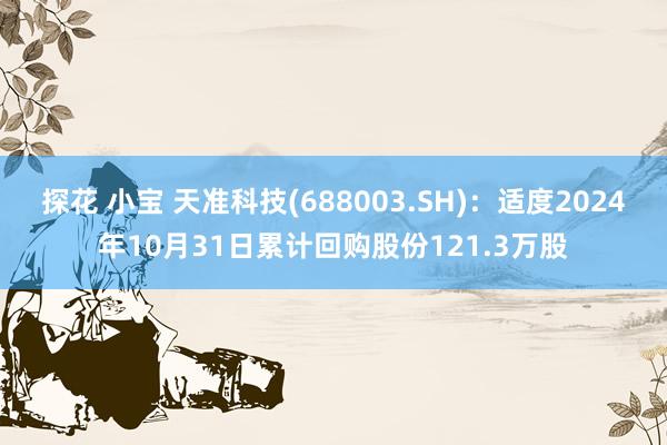 探花 小宝 天准科技(688003.SH)：适度2024年10月31日累计回购股份121.3万股