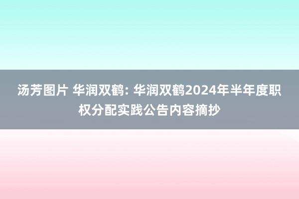 汤芳图片 华润双鹤: 华润双鹤2024年半年度职权分配实践公告内容摘抄