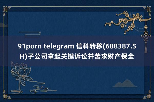 91porn telegram 信科转移(688387.SH)子公司拿起关键诉讼并苦求财产保全