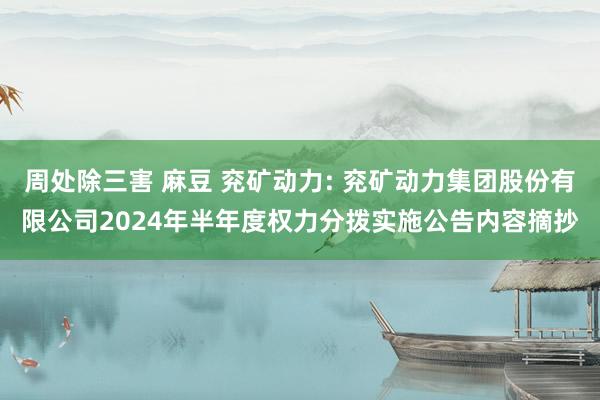 周处除三害 麻豆 兖矿动力: 兖矿动力集团股份有限公司2024年半年度权力分拨实施公告内容摘抄