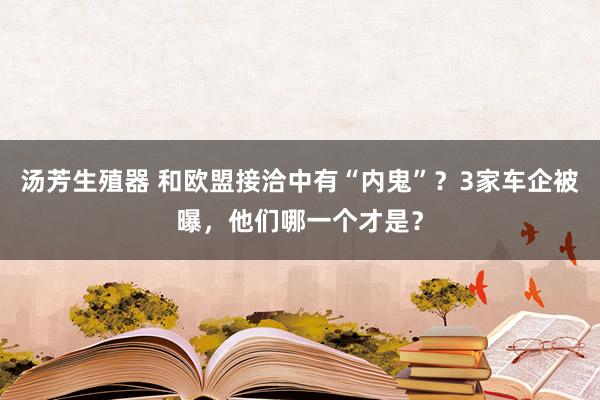 汤芳生殖器 和欧盟接洽中有“内鬼”？3家车企被曝，他们哪一个才是？