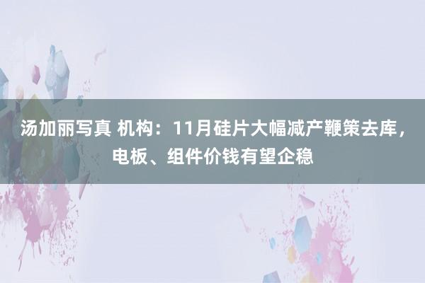 汤加丽写真 机构：11月硅片大幅减产鞭策去库，电板、组件价钱有望企稳