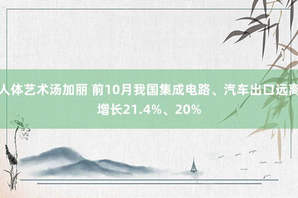 人体艺术汤加丽 前10月我国集成电路、汽车出口远离增长21.4%、20%