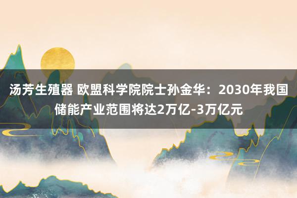 汤芳生殖器 欧盟科学院院士孙金华：2030年我国储能产业范围将达2万亿-3万亿元