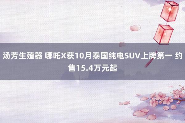 汤芳生殖器 哪吒X获10月泰国纯电SUV上牌第一 约售15.4万元起