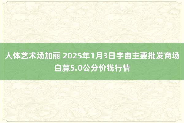 人体艺术汤加丽 2025年1月3日宇宙主要批发商场白蒜5.0公分价钱行情