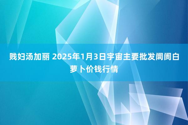 贱妇汤加丽 2025年1月3日宇宙主要批发阛阓白萝卜价钱行情