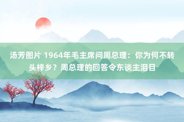 汤芳图片 1964年毛主席问周总理：你为何不转头梓乡？周总理的回答令东谈主泪目