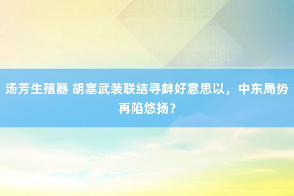 汤芳生殖器 胡塞武装联结寻衅好意思以，中东局势再陷悠扬？