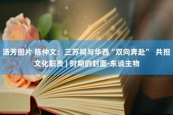 汤芳图片 陈仲文：三苏祠与华西“双向奔赴”  共担文化职责 | 时期的封面·东谈主物