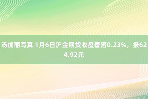 汤加丽写真 1月6日沪金期货收盘着落0.23%，报624.92元