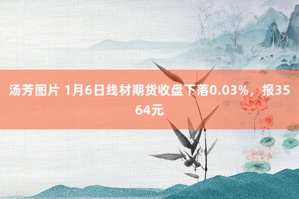 汤芳图片 1月6日线材期货收盘下落0.03%，报3564元