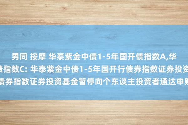 男同 按摩 华泰紫金中债1-5年国开债指数A，华泰紫金中债1-5年国开债指数C: 华泰紫金中债1-5年国开行债券指数证券投资基金暂停向个东谈主投资者通达申购业务的公告