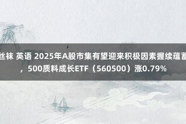 丝袜 英语 2025年A股市集有望迎来积极因素握续蕴蓄，500质料成长ETF（560500）涨0.79%