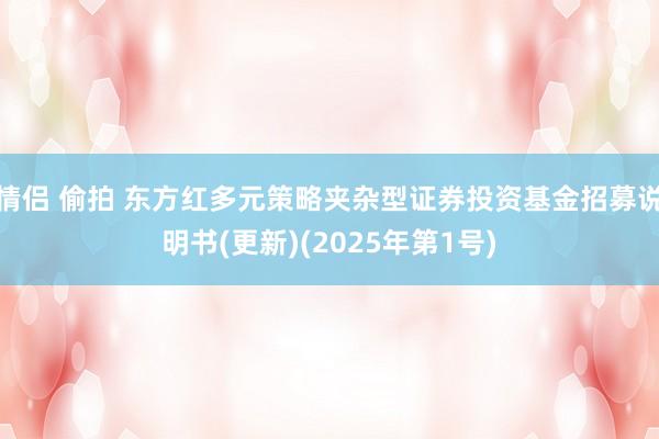 情侣 偷拍 东方红多元策略夹杂型证券投资基金招募说明书(更新)(2025年第1号)