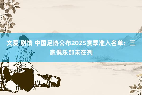 文爱 剧情 中国足协公布2025赛季准入名单：三家俱乐部未在列