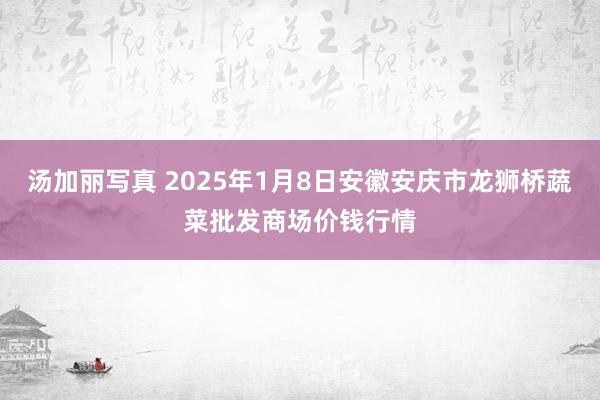 汤加丽写真 2025年1月8日安徽安庆市龙狮桥蔬菜批发商场价钱行情