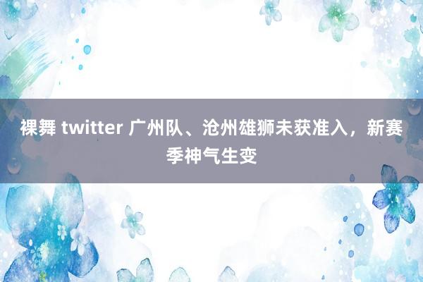 裸舞 twitter 广州队、沧州雄狮未获准入，新赛季神气生变