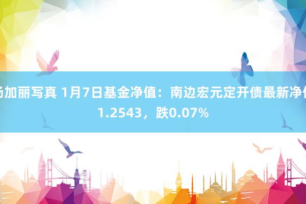 汤加丽写真 1月7日基金净值：南边宏元定开债最新净值1.2543，跌0.07%