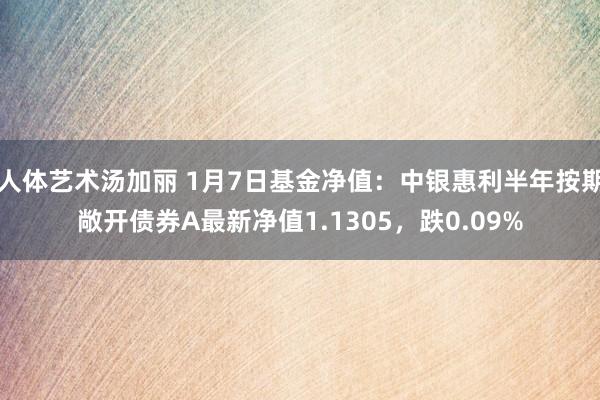 人体艺术汤加丽 1月7日基金净值：中银惠利半年按期敞开债券A最新净值1.1305，跌0.09%