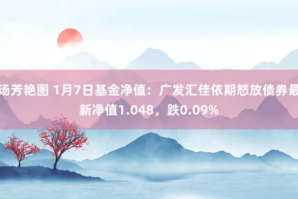 汤芳艳图 1月7日基金净值：广发汇佳依期怒放债券最新净值1.048，跌0.09%