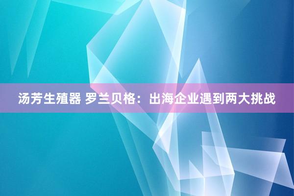 汤芳生殖器 罗兰贝格：出海企业遇到两大挑战