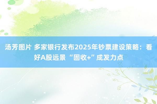 汤芳图片 多家银行发布2025年钞票建设策略：看好A股远景 “固收+”成发力点