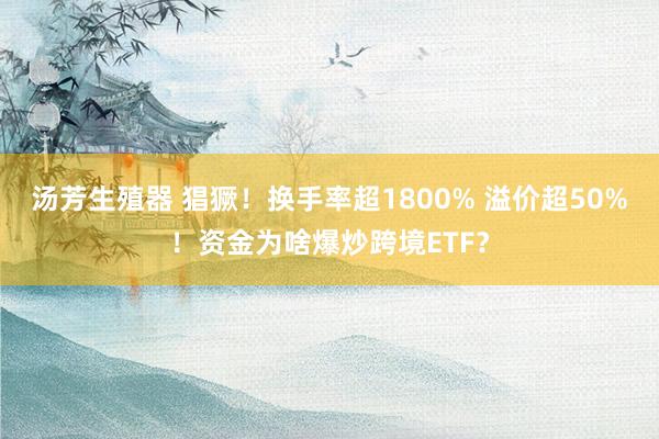 汤芳生殖器 猖獗！换手率超1800% 溢价超50%！资金为啥爆炒跨境ETF？