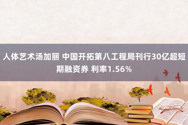 人体艺术汤加丽 中国开拓第八工程局刊行30亿超短期融资券 利率1.56%