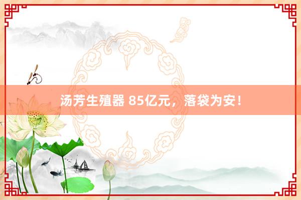 汤芳生殖器 85亿元，落袋为安！