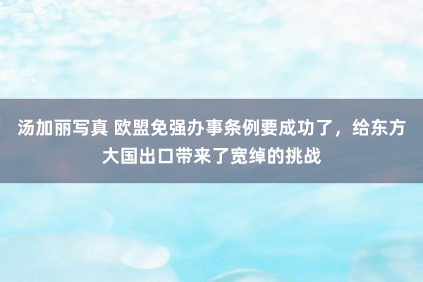 汤加丽写真 欧盟免强办事条例要成功了，给东方大国出口带来了宽绰的挑战