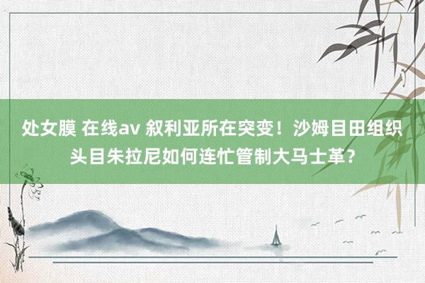 处女膜 在线av 叙利亚所在突变！沙姆目田组织头目朱拉尼如何连忙管制大马士革？