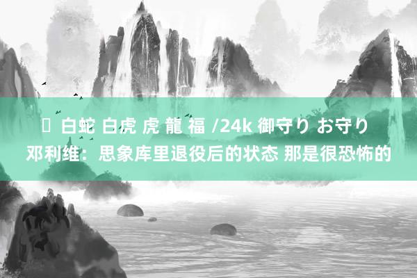 ✨白蛇 白虎 虎 龍 福 /24k 御守り お守り 邓利维：思象库里退役后的状态 那是很恐怖的