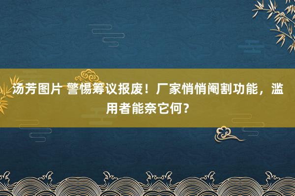 汤芳图片 警惕筹议报废！厂家悄悄阉割功能，滥用者能奈它何？