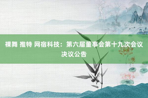 裸舞 推特 网宿科技：第六届董事会第十九次会议决议公告