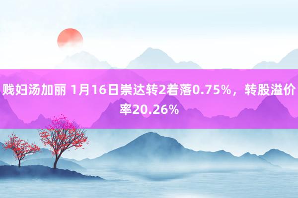 贱妇汤加丽 1月16日崇达转2着落0.75%，转股溢价率20.26%