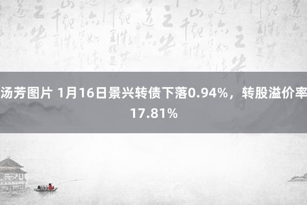 汤芳图片 1月16日景兴转债下落0.94%，转股溢价率17.81%