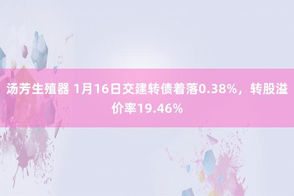 汤芳生殖器 1月16日交建转债着落0.38%，转股溢价率19.46%