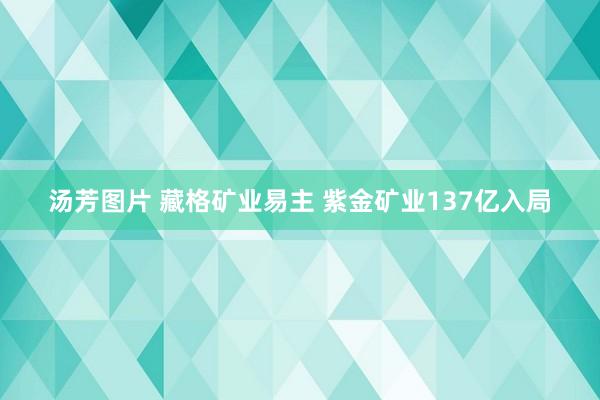 汤芳图片 藏格矿业易主 紫金矿业137亿入局