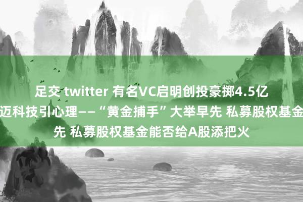 足交 twitter 有名VC启明创投豪掷4.5亿元控股A股公司天迈科技引心理——“黄金捕手”大举早先 私募股权基金能否给A股添把火